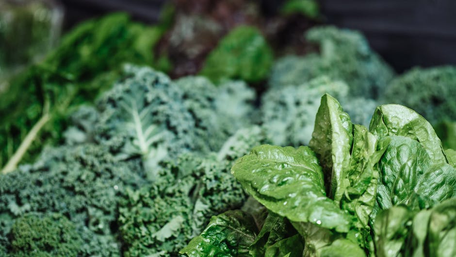 Vitamin K: Benefits and principal Properties
