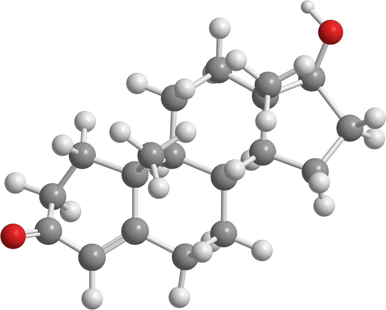Testosterone injections can aid weight loss