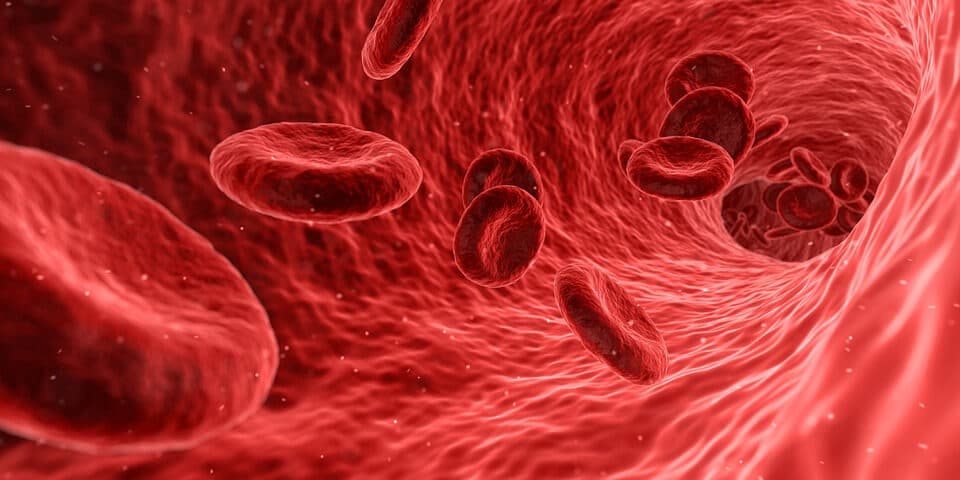 How Chronic Infections Accelerate Aging